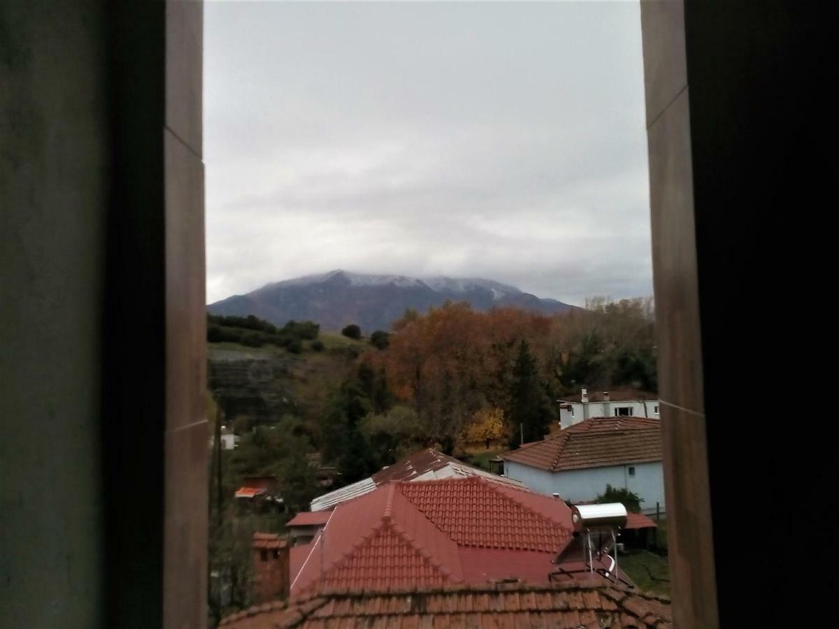 ホテル Kostis Hause カストラキオン エクステリア 写真